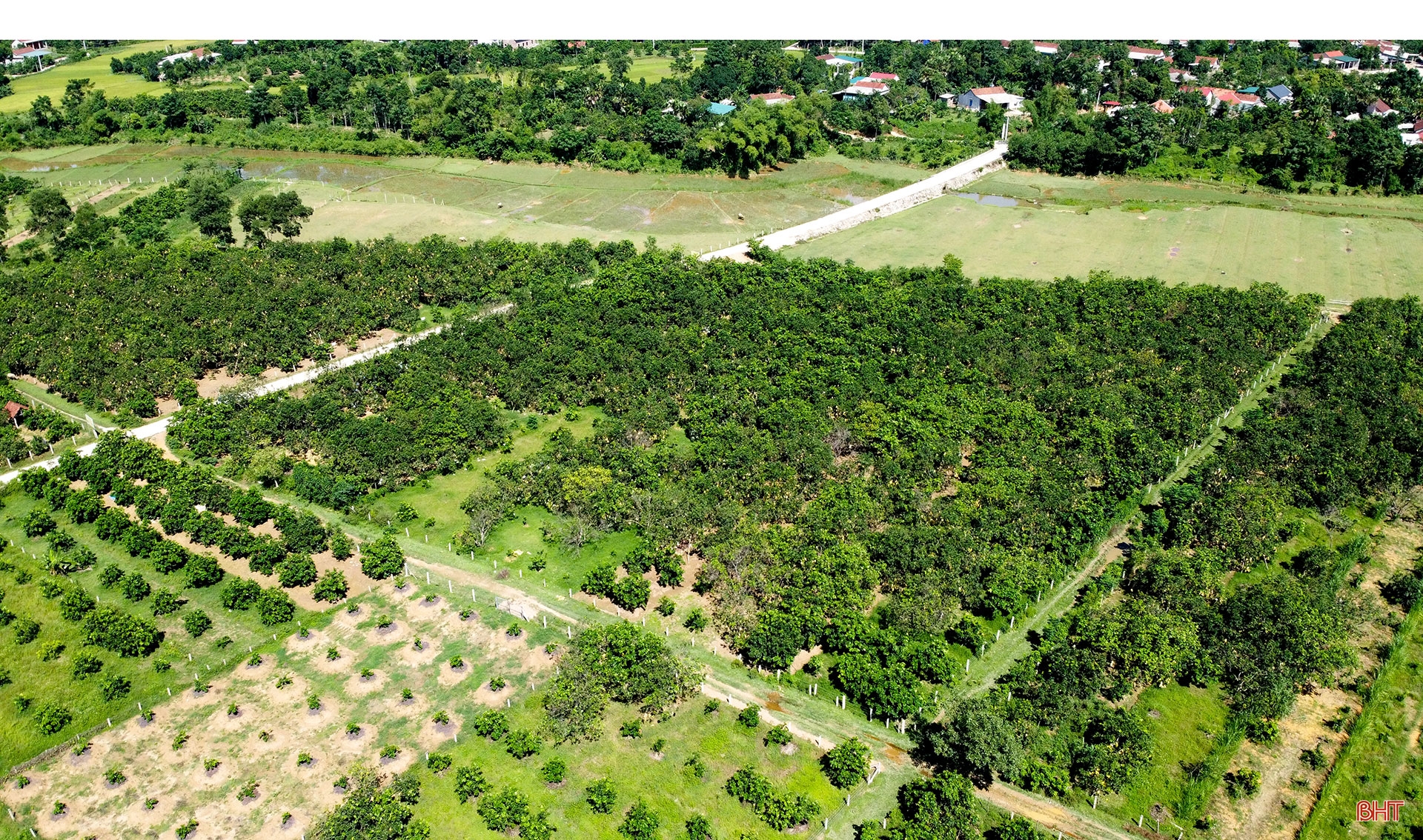 Mở đường cho đặc sản Hương Khê vươn xa (bài 2): Chuẩn hóa sản xuất, nâng tầm thương hiệu