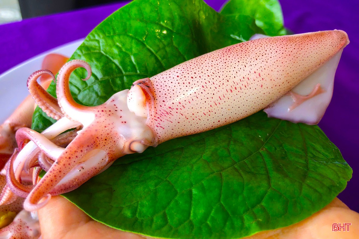 mực nhảy 13.jpg