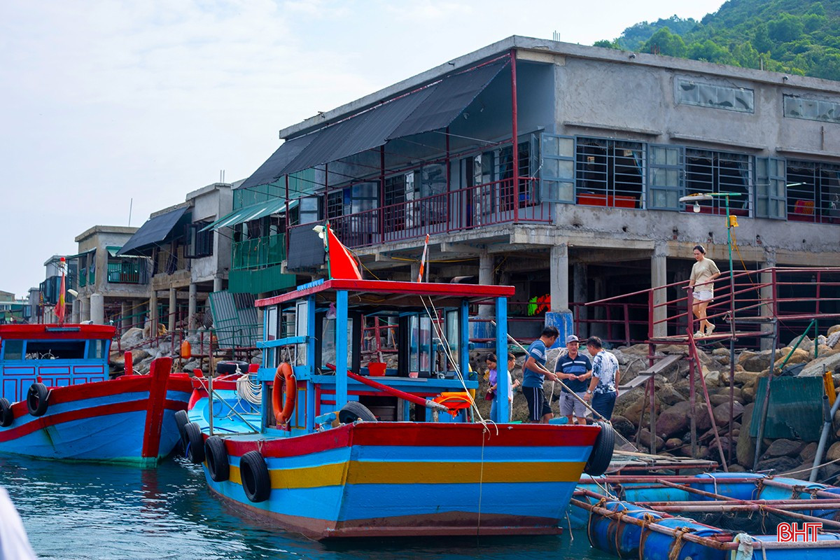 mực nhảy 15.jpg