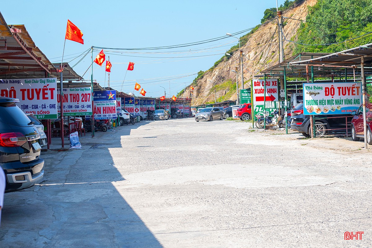 mực nhảy 4.jpg