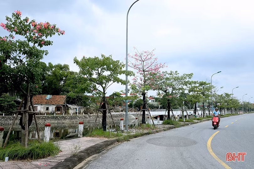 Thành phố thông minh, sạch, đẹp gắn với tăng trưởng xanh