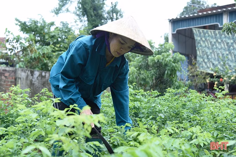 Nghị lực vượt khó của hai chị em sinh viên nghèo học giỏi