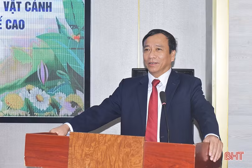 Phổ biến kiến thức phát triển cây cảnh và cây bóng mát