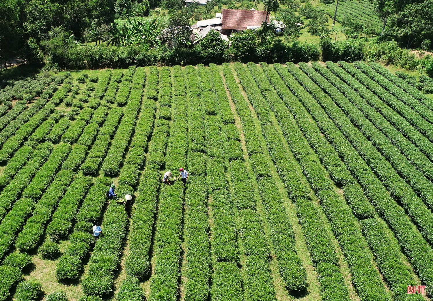 Xây dựng nông thôn mới ở Vũ Quang - “chỉ có khởi đầu, không có kết thúc” (bài 2): Tiếp tục bứt phá, tiến tới huyện nông thôn mới nâng cao