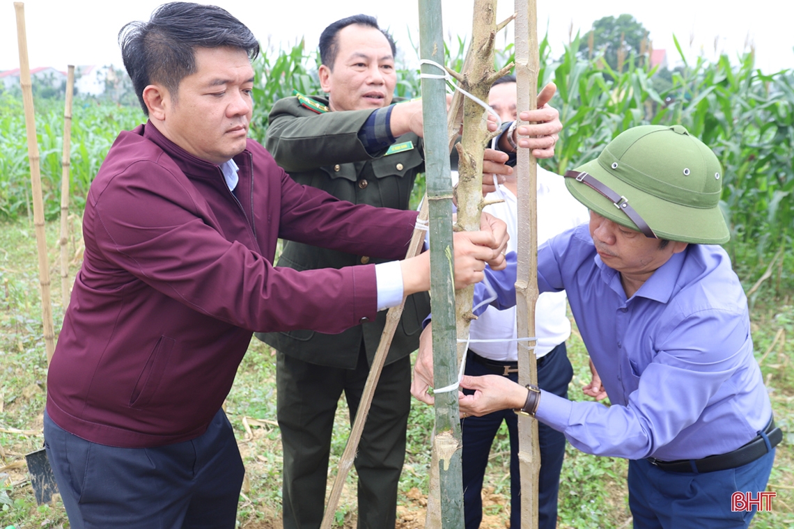 Các địa phương Hà Tĩnh sôi nổi ra quân trồng cây đầu xuân