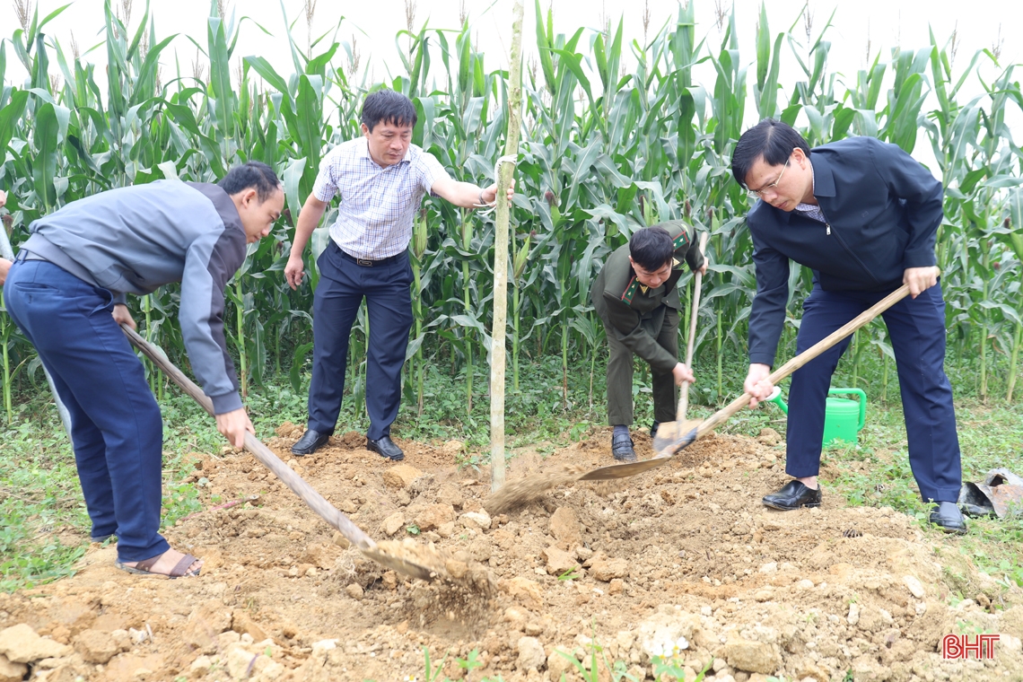 Các địa phương Hà Tĩnh sôi nổi ra quân trồng cây đầu xuân