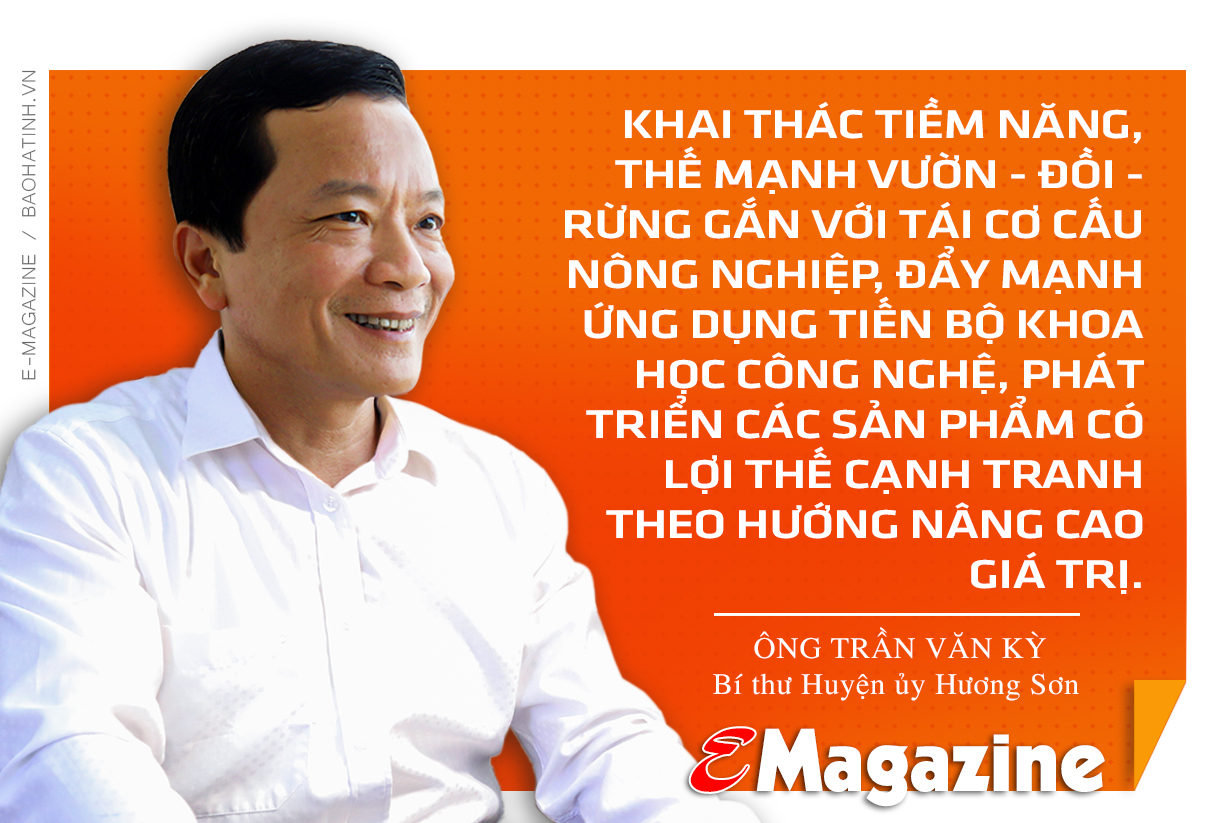 Nuôi ong “du mục” dưới tán rừng keo ở Hà Tĩnh