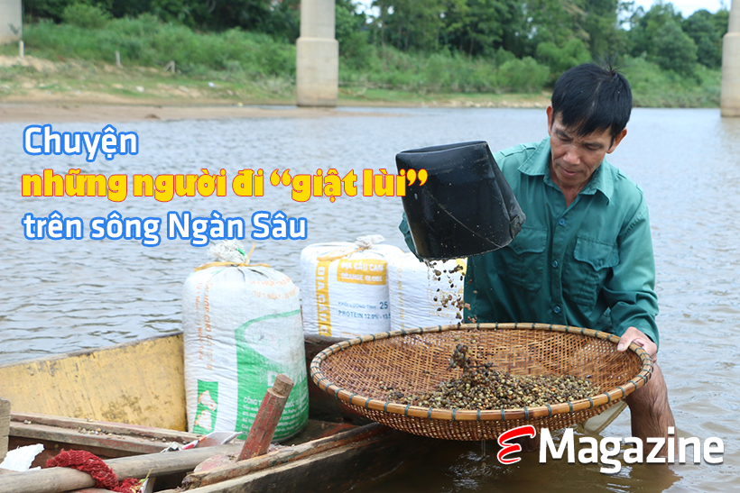 Nuôi ong “du mục” dưới tán rừng keo ở Hà Tĩnh