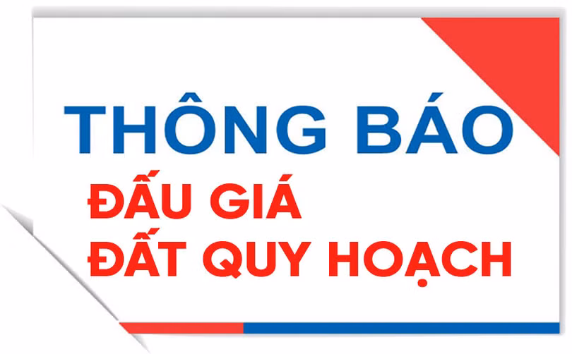 Dau-gia-.jpg