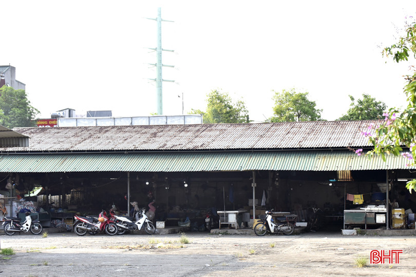 DT_DSC8685.jpg