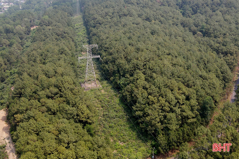 DT DJI_0985.jpg