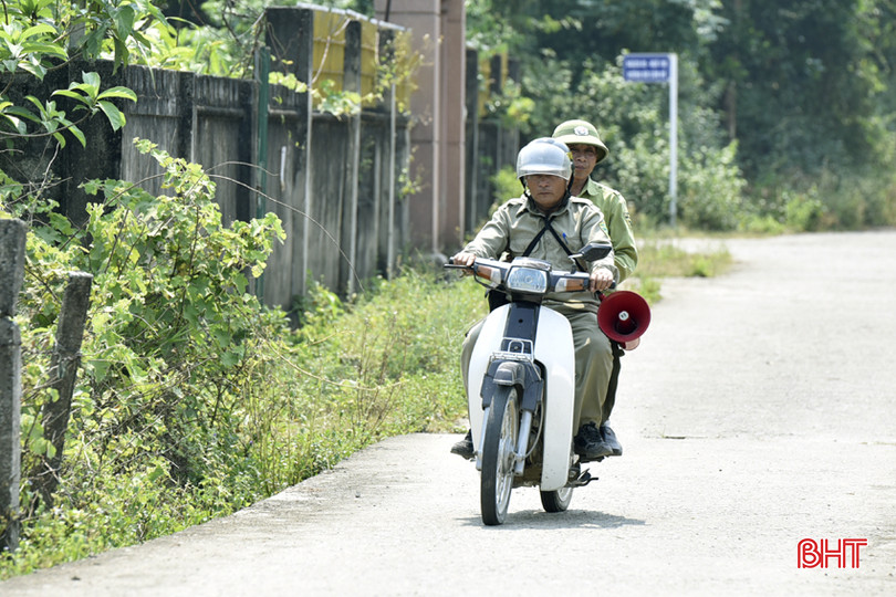 DT_DSC9119.jpg