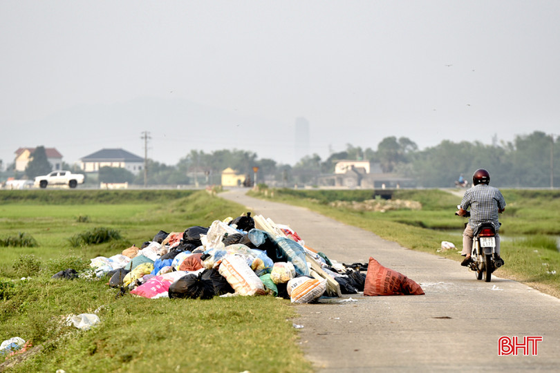 DT_DSC7569.jpg