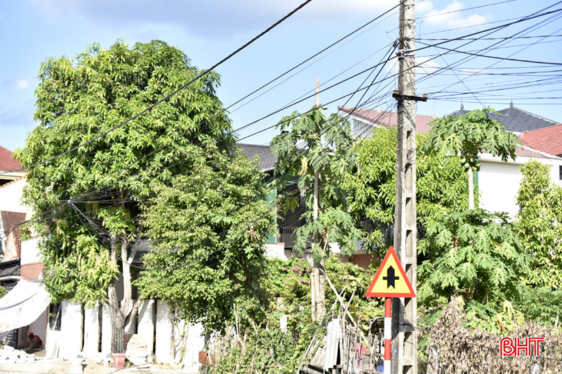 DT_DSC1336.jpg