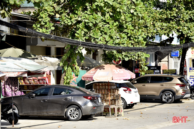 DT_DSC1345.jpg