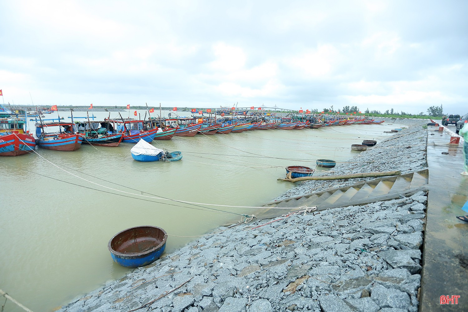 bqbht_br_bao-so-10-01v.jpg