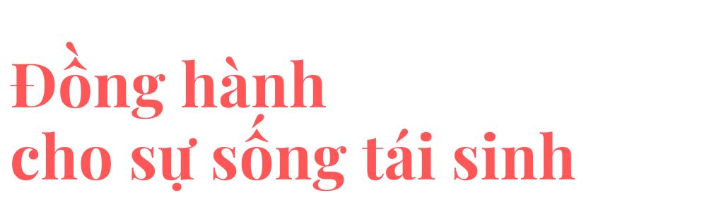 Tit phu 2.jpg