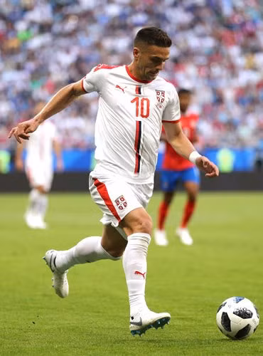 Đội hình dự kiến của Serbia trước Brazil: Kỳ vọng vào Milinkovic-Savic
