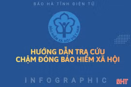 [Infographic] Hướng dẫn tra cứu chậm đóng bảo hiểm xã hội