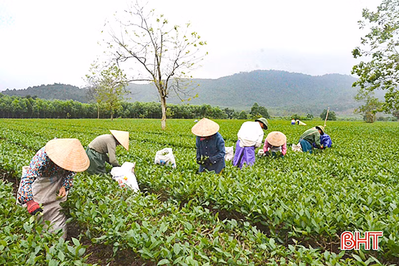 Nhiều thú vị khi trải nghiệm du lịch nông thôn mới ở xã vùng thượng Kỳ Anh