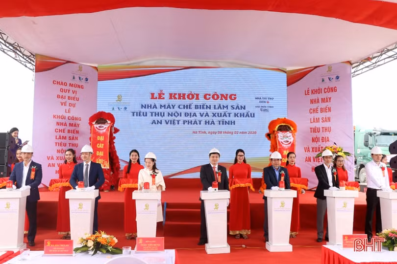 Khởi công nhà máy sản xuất, chế biến lâm sản gần 1.300 tỷ đồng tại KKT Vũng Áng