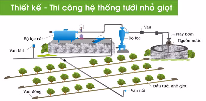 trong cay tren san thuong can luu y nhung gi