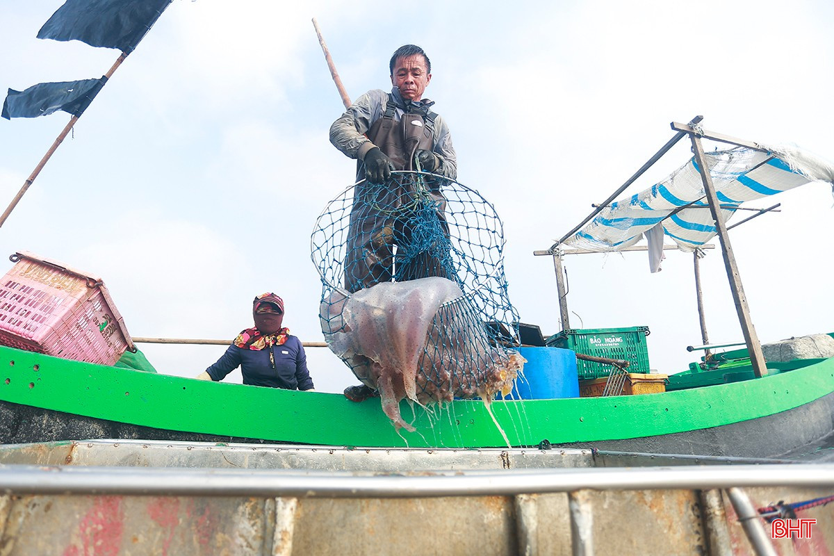 bqbht_br_a7.jpg