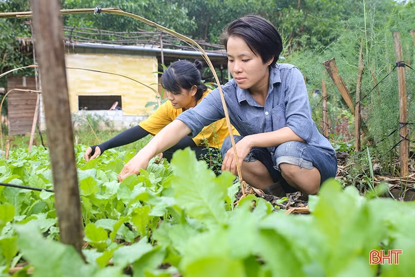 Hai nữ kỹ sư trẻ biến đồi hoang thành “đất thơ” ở Hà Tĩnh
