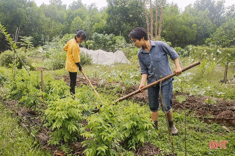 Hai nữ kỹ sư trẻ biến đồi hoang thành “đất thơ” ở Hà Tĩnh