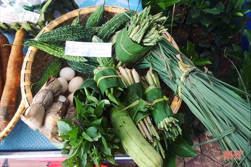 Hai nữ kỹ sư trẻ biến đồi hoang thành “đất thơ” ở Hà Tĩnh