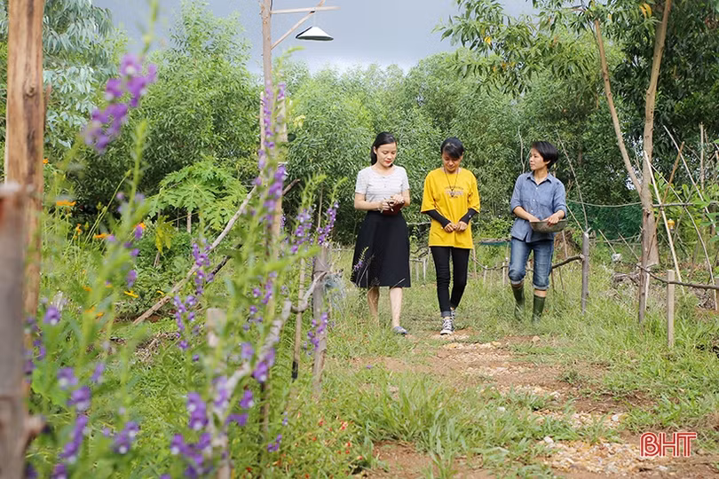Hai nữ kỹ sư trẻ biến đồi hoang thành “đất thơ” ở Hà Tĩnh
