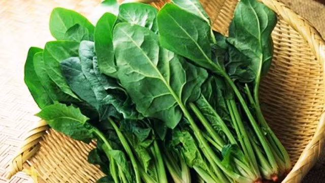 Rau lá xanh như rau bina chứa hàm lượng chất xơ cao cùng chất diệp lục – một hợp chất tự nhiên giúp cơ thể loại bỏ độc tố, tốt cho người gan nhiễm mỡ.