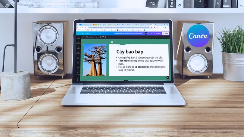 pdf-canva.jpg