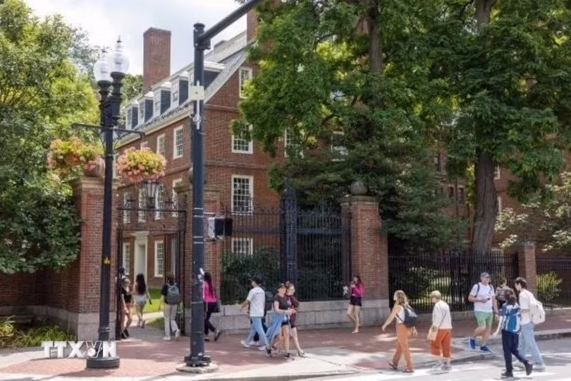 harvard.jpg