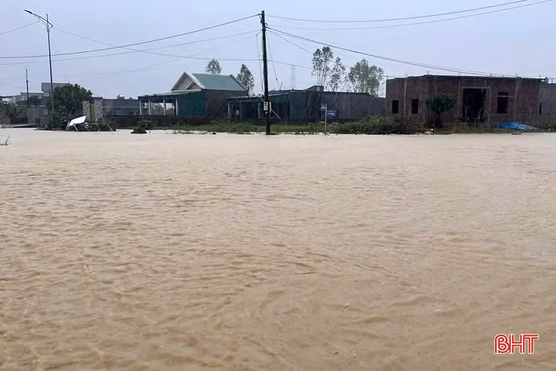 image-1.jpg