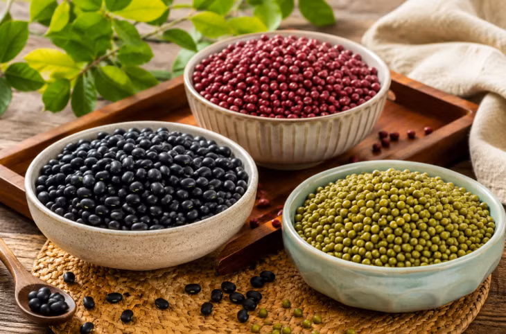 Đậu đen, đậu đỏ, đậu xanh và nhiều loại đậu khác cung cấp protein thực vật, chất xơ, vitamin nhóm B cùng nhiều khoáng chất có lợi cho sức khỏe.