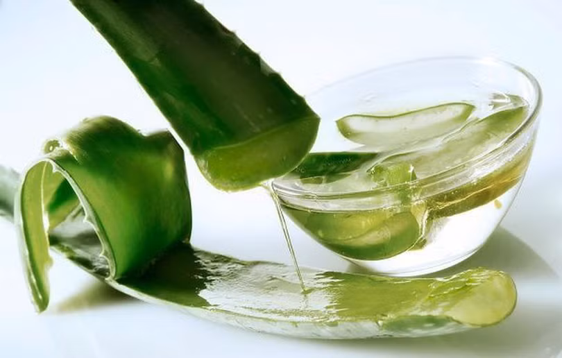 Lô hội giúp phục hồi tế bào da, cải thiện độ ẩm và kích thích tái tạo collagen.