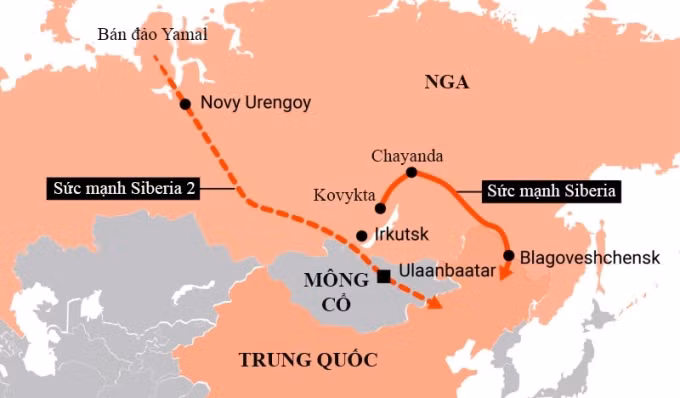 Hệ thống đường ống Sức mạnh Siberia và Sức mạnh Siberia 2 (dự kiến) chuyển khí đốt từ Nga tới Trung Quốc. Đồ họa: Table