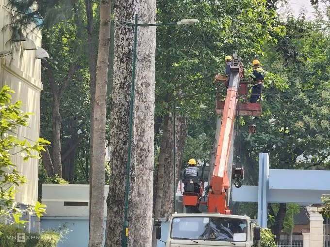 Nhân viên cây xanh đang cắt nhánh cây ở khu vực xảy ra sự cố, sáng 9/8. Ảnh: Đình Văn