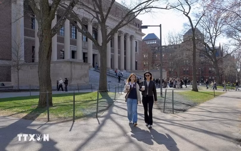 havard-2.jpg
