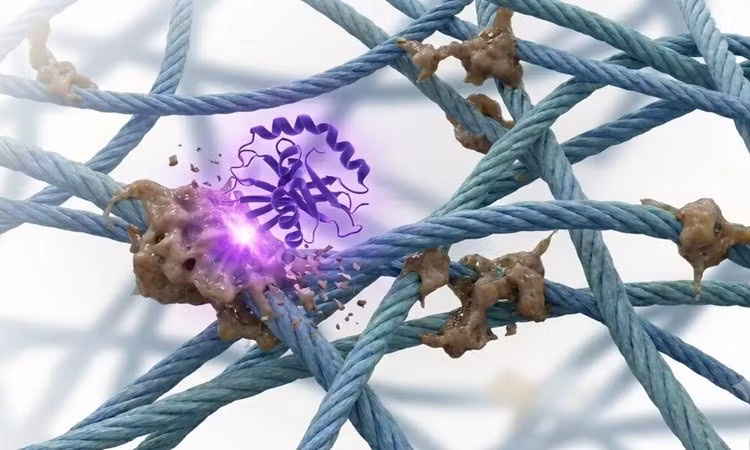 Mô phỏng enzyme CMLase phá vỡ hợp chất gây lão hóa (màu nâu) bám vào protein. Ảnh: Revel Pharmaceuticals