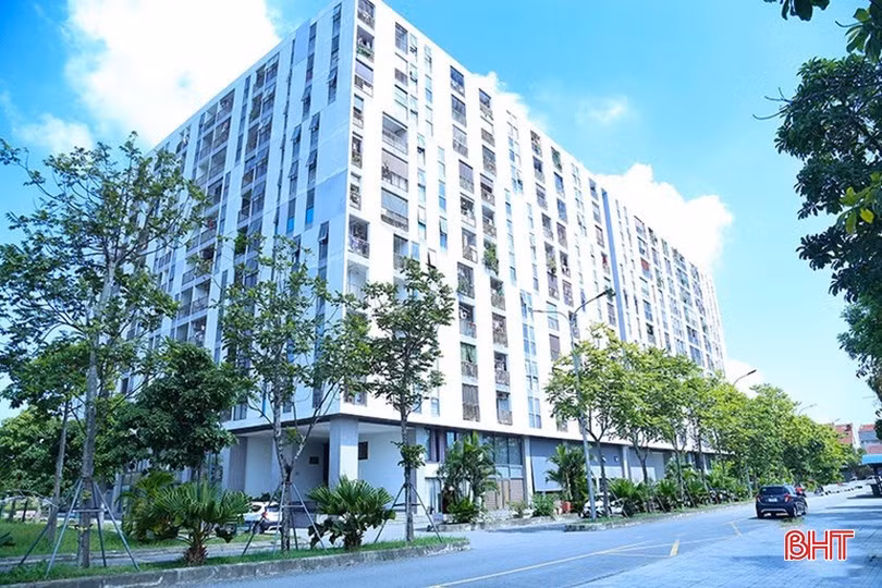 image-1.jpg