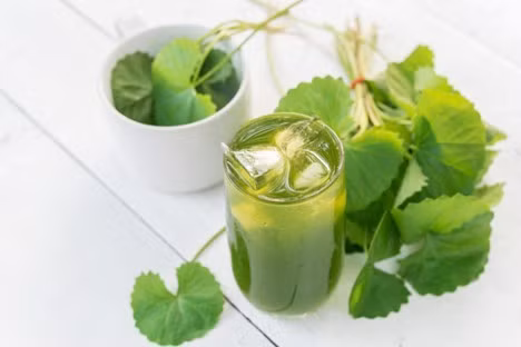 Rau má có thể giúp hạ men gan ở những người bị viêm gan, gan nhiễm mỡ.