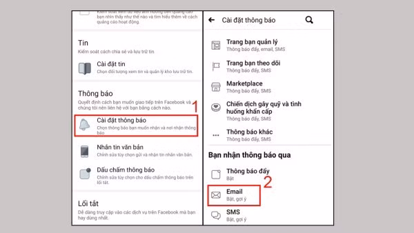 Chọn mục Thông báo > chọn Email