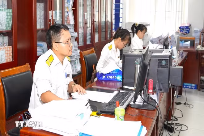 Cán bộ Cục Thuế tỉnh Tây Ninh rà soát, chuẩn hóa thông tin đăng ký thuế của chủ hộ kinh doanh, cá nhân kinh doanh. (Ảnh: Minh Phú/TTXVN)