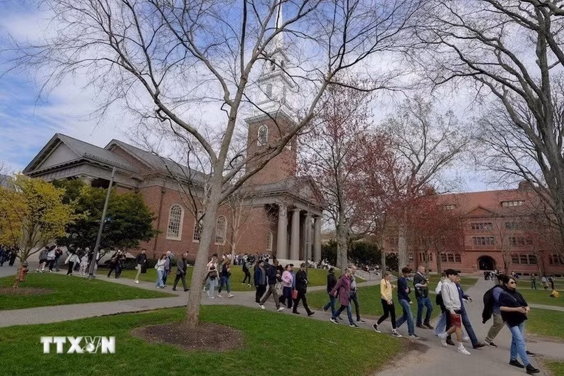 harvard.jpg