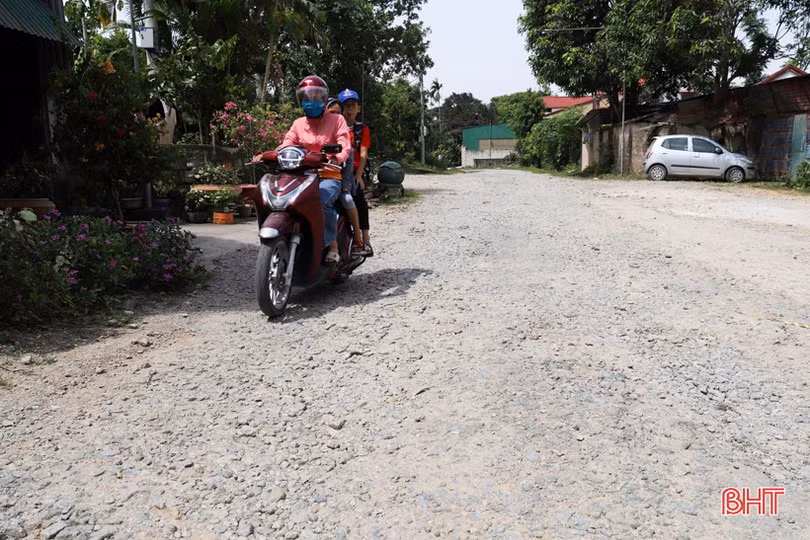 84d2092150t7252l5-92d0084242t70321l0.jpg