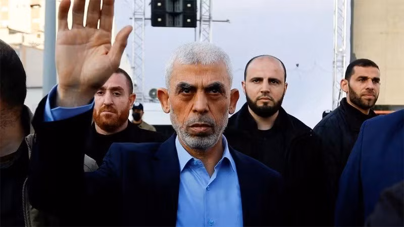 hamas-1339-3116.jpg