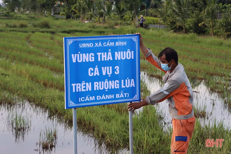 Nông thôn mới kiểu mẫu hiện hữu trên vùng quê Cẩm Bình