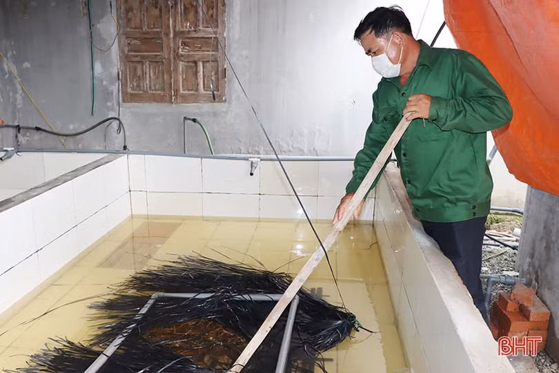 Nông thôn mới kiểu mẫu hiện hữu trên vùng quê Cẩm Bình